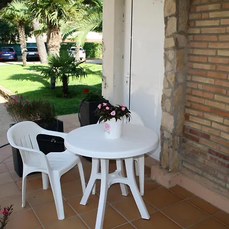 Ocean Canada بلاتجا ذارو